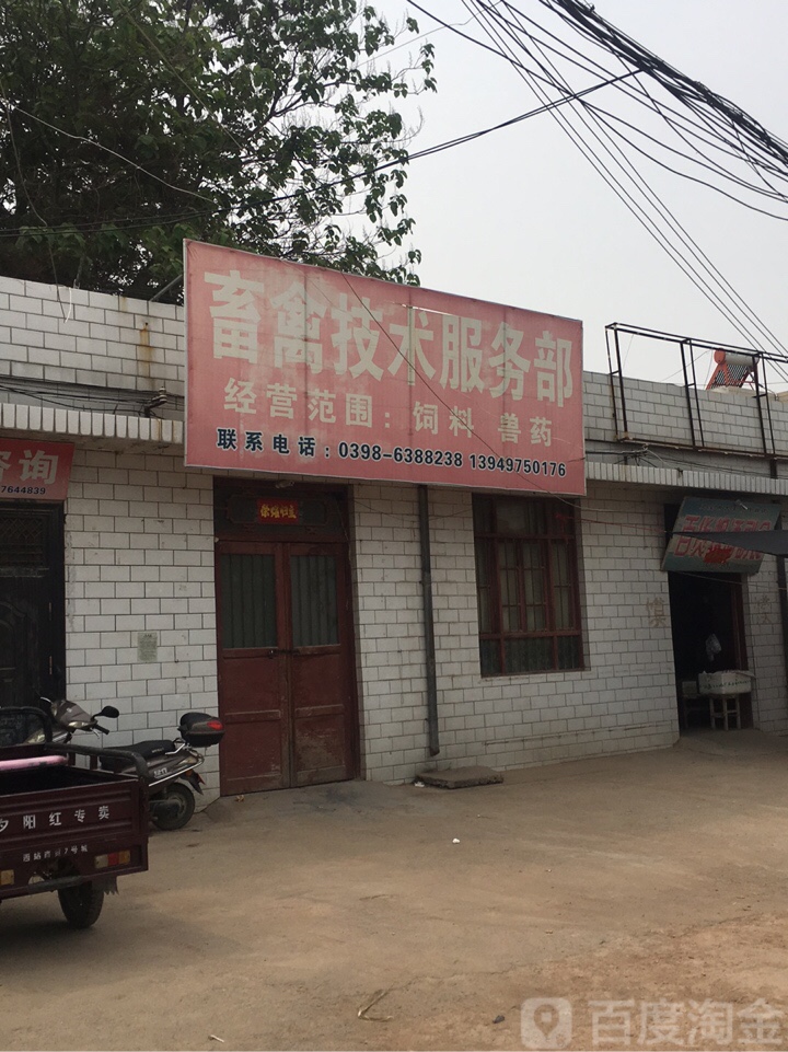 畜禽技术服务部