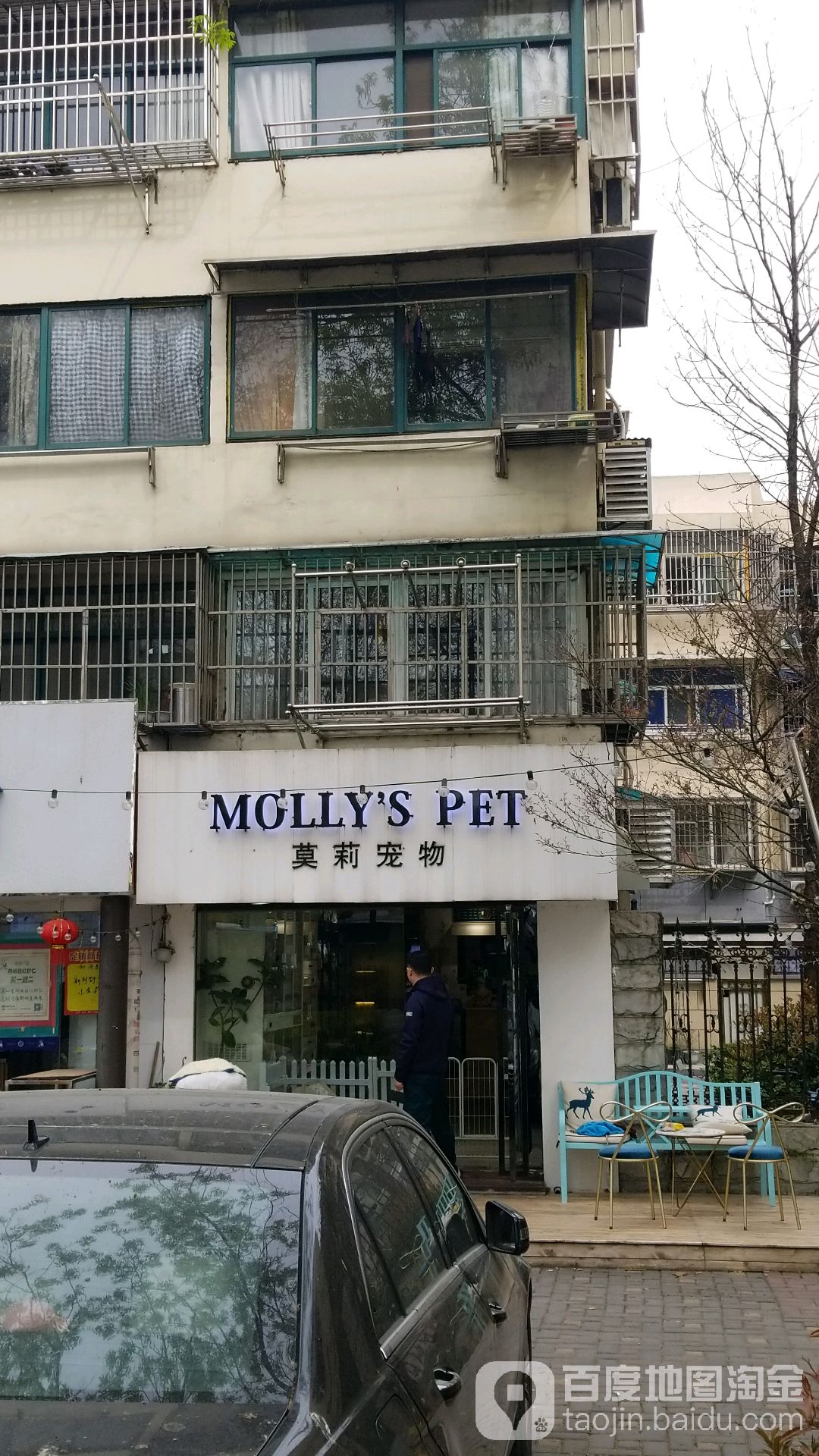 莫莉宠物