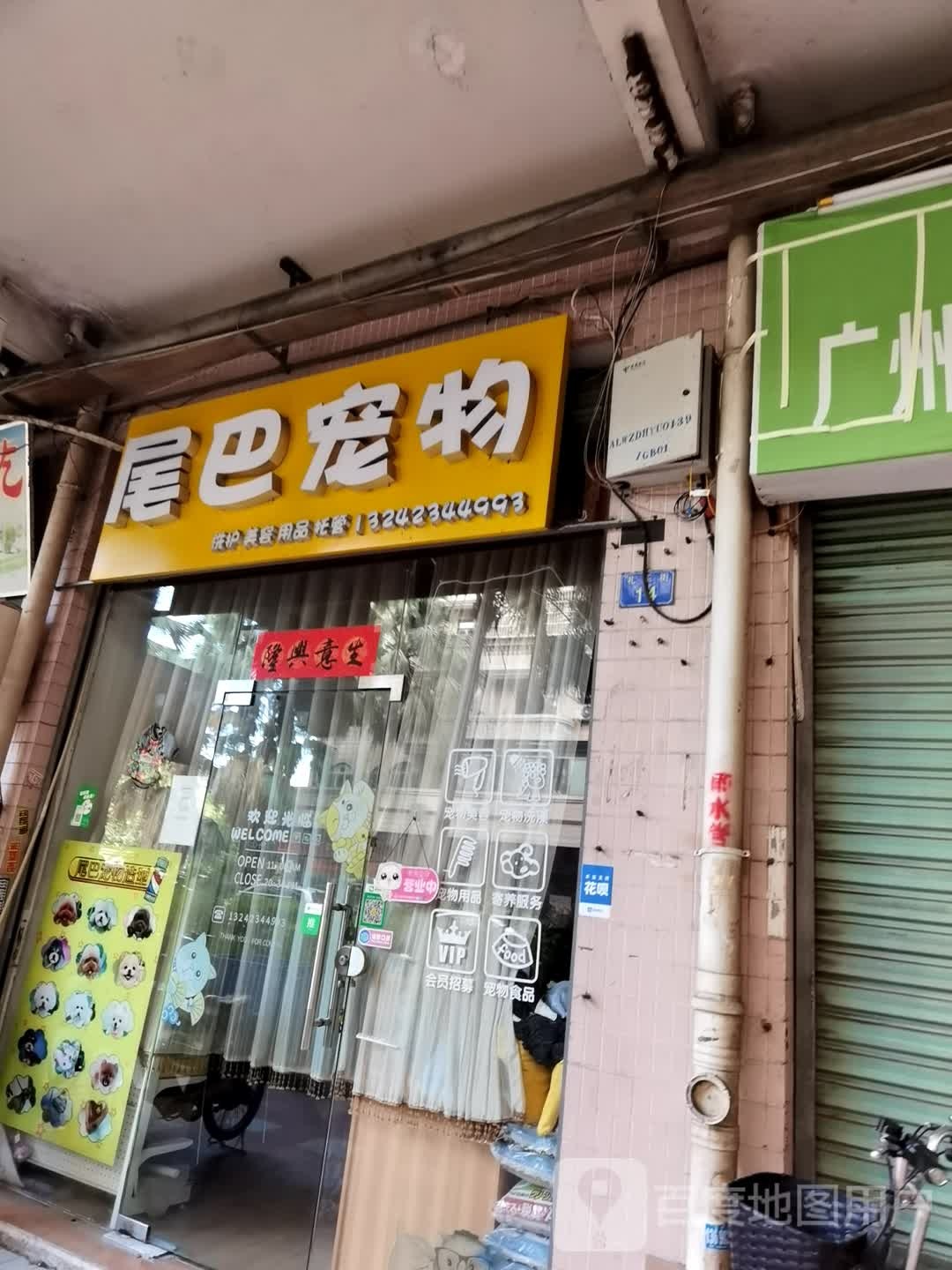 尾巴宠物
