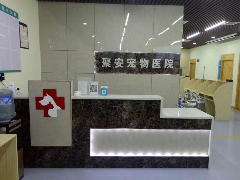 聚安宠物医院(汉阳总院)