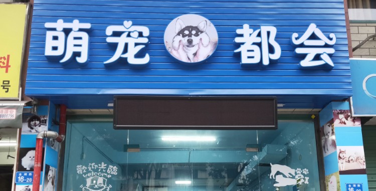 萌宠都会