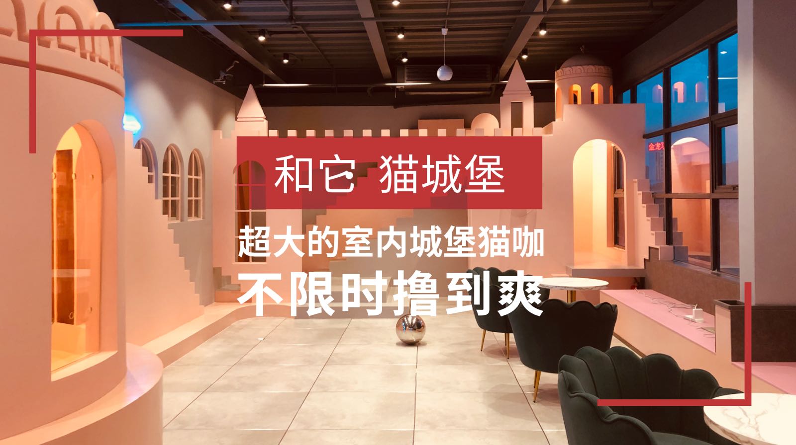 和它(宠物概念服务店)