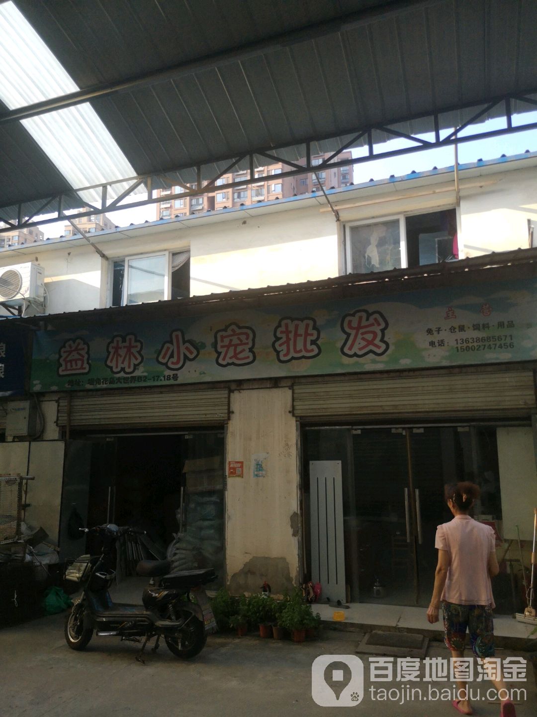 益林小宠批发