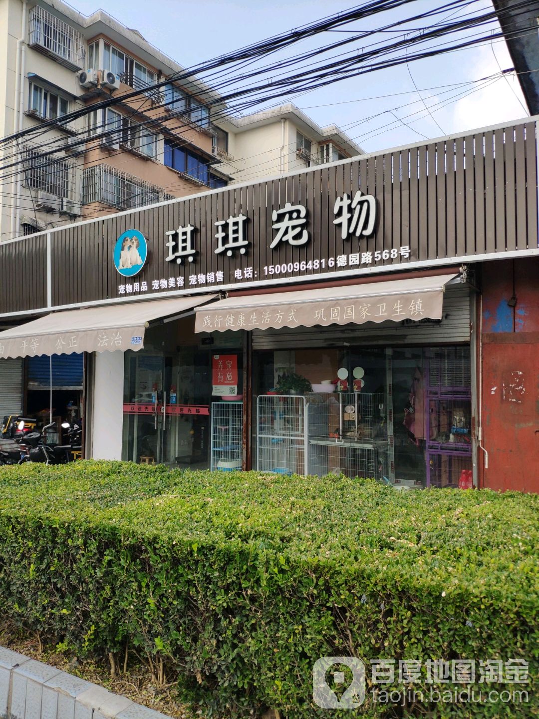 琪琪宠物