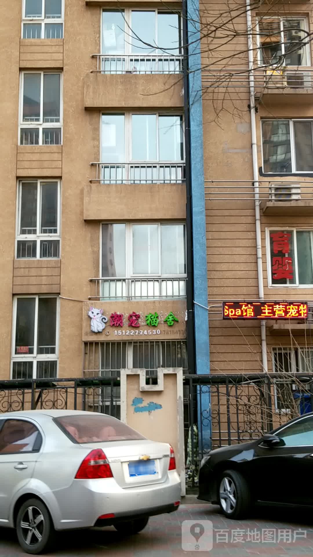 潮宠猫舍
