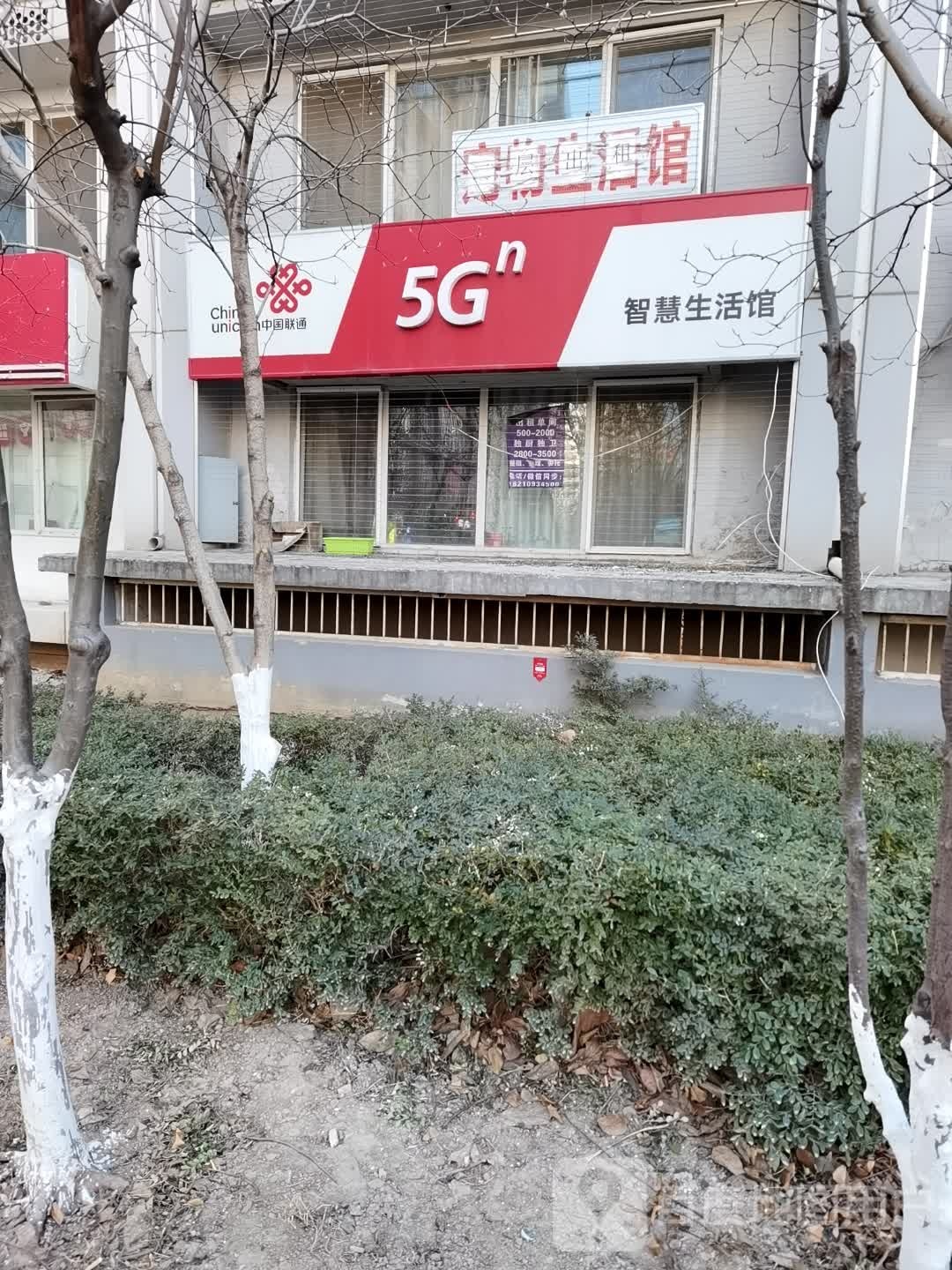 宠物联萌