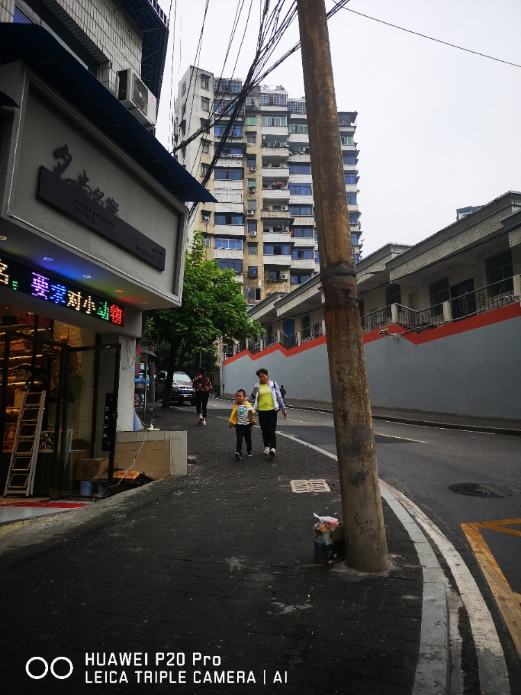 名尚名宠