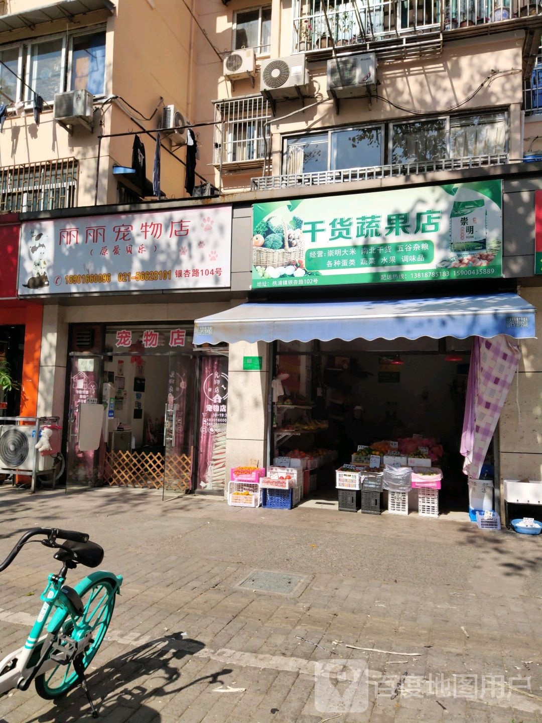 丽丽宠物店