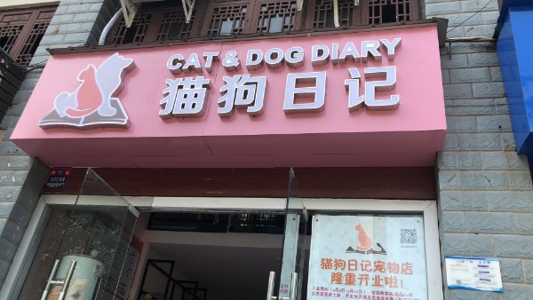 猫狗日记