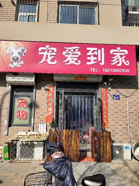 宠爱到家宠物店