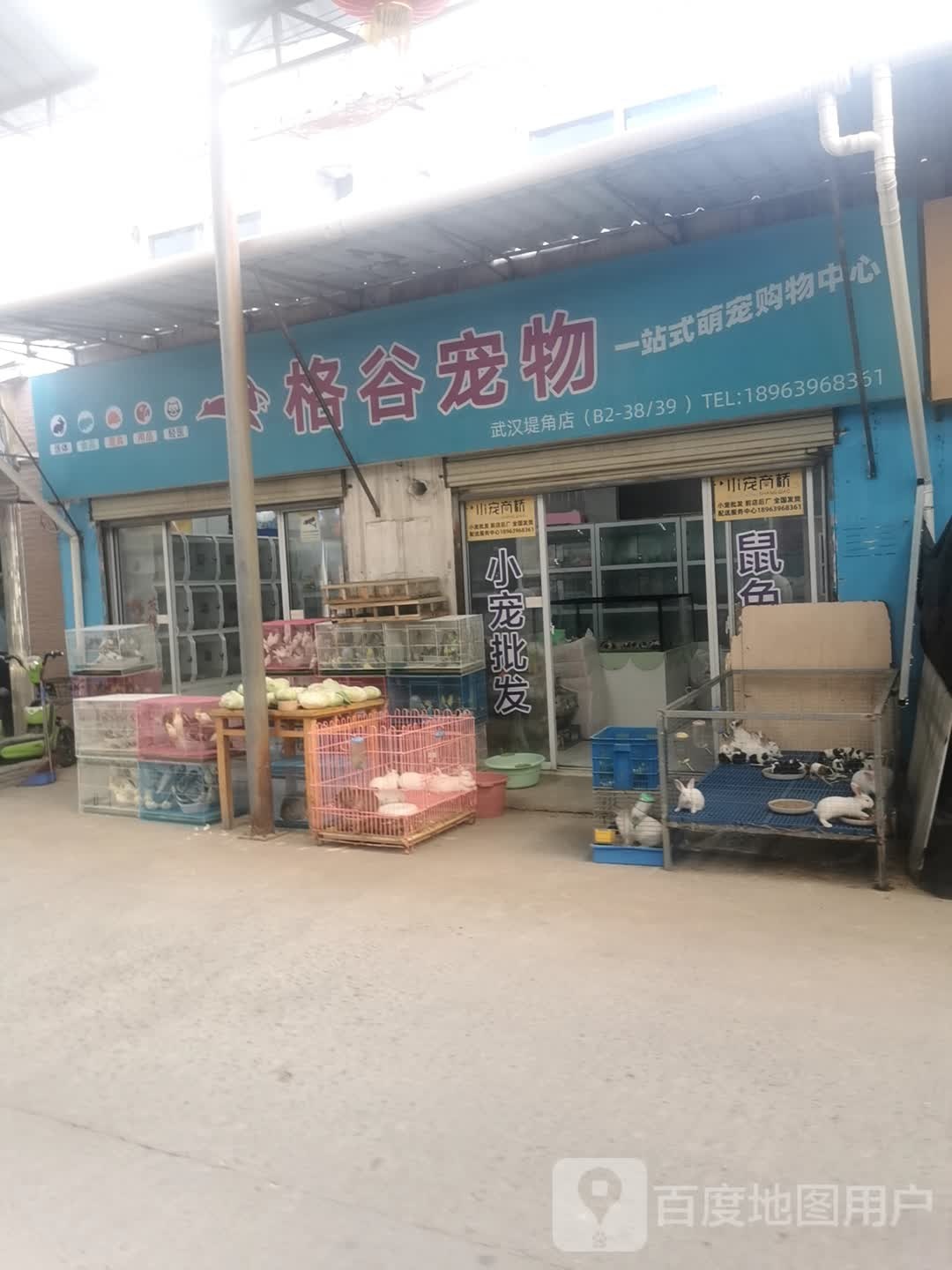 格谷宠物