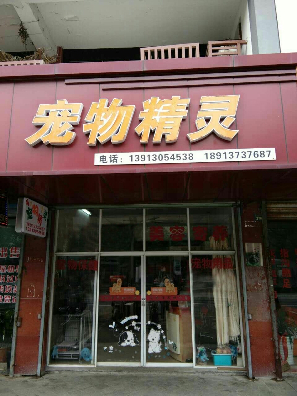 宠物精灵