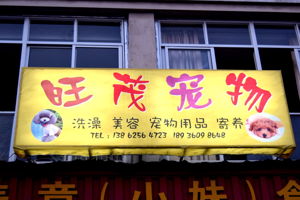 旺茂宠物店