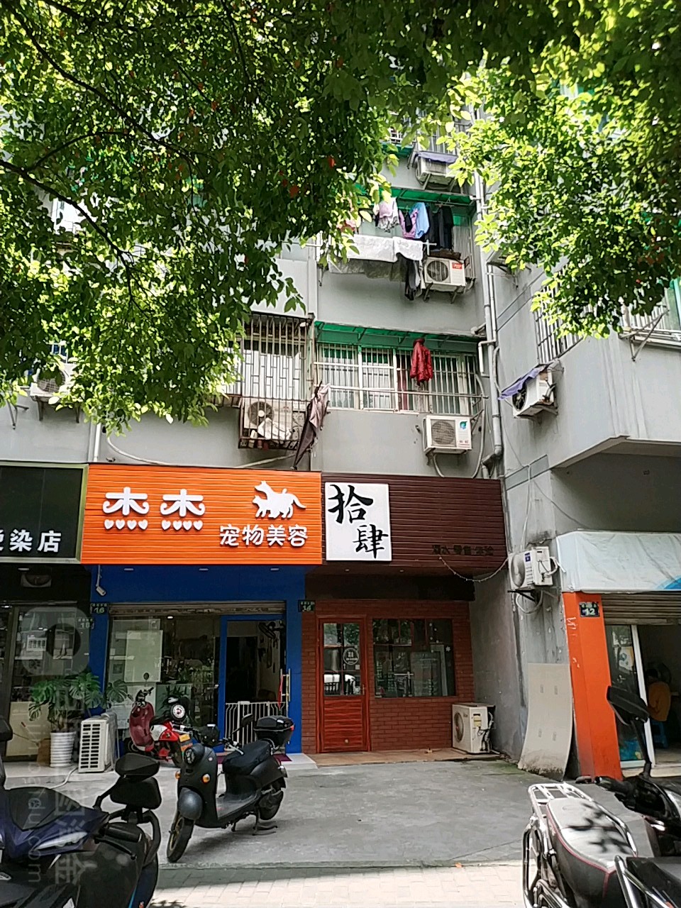 杰杰宠物美容(建国南路店)