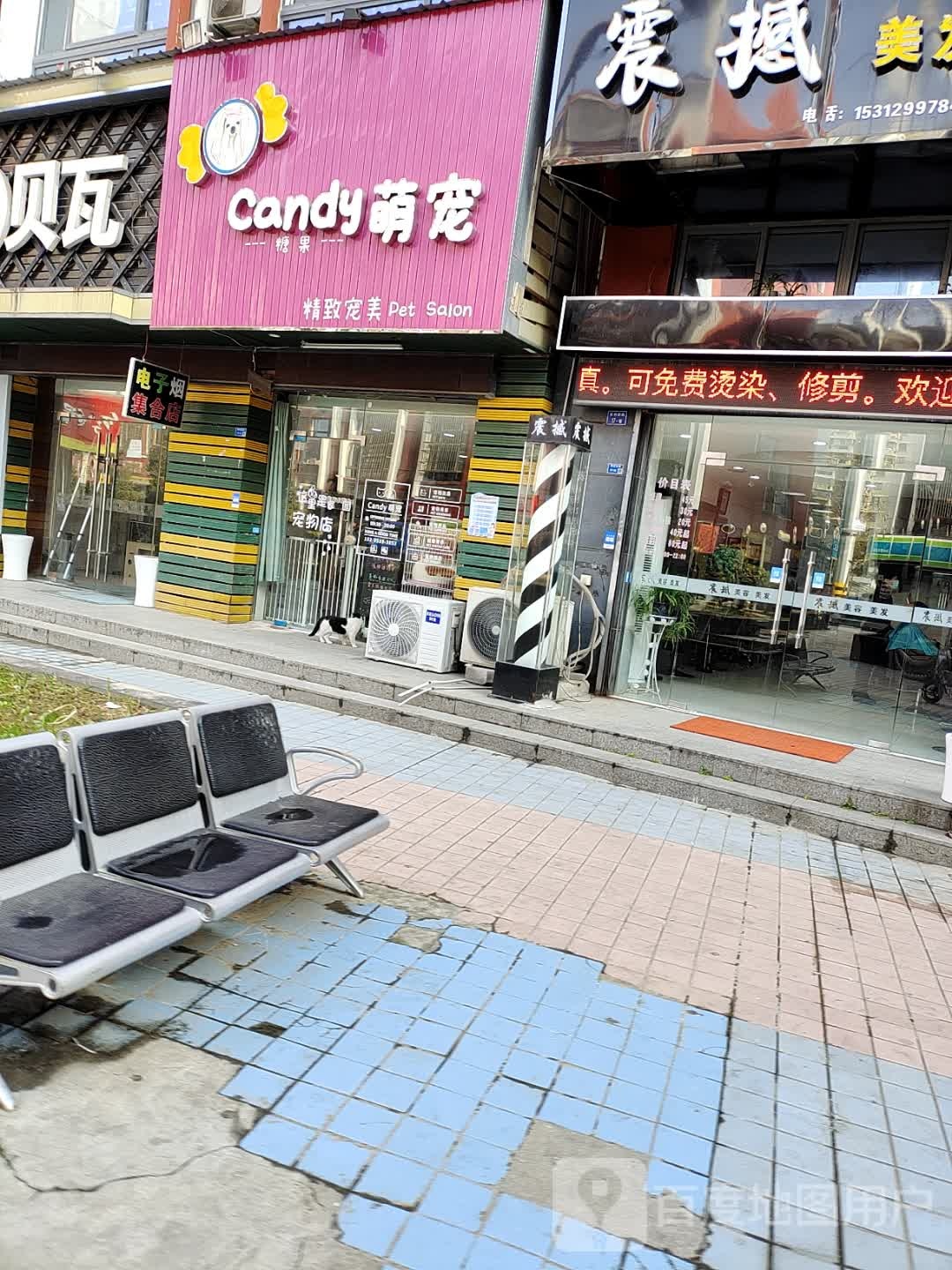 Candy萌宠