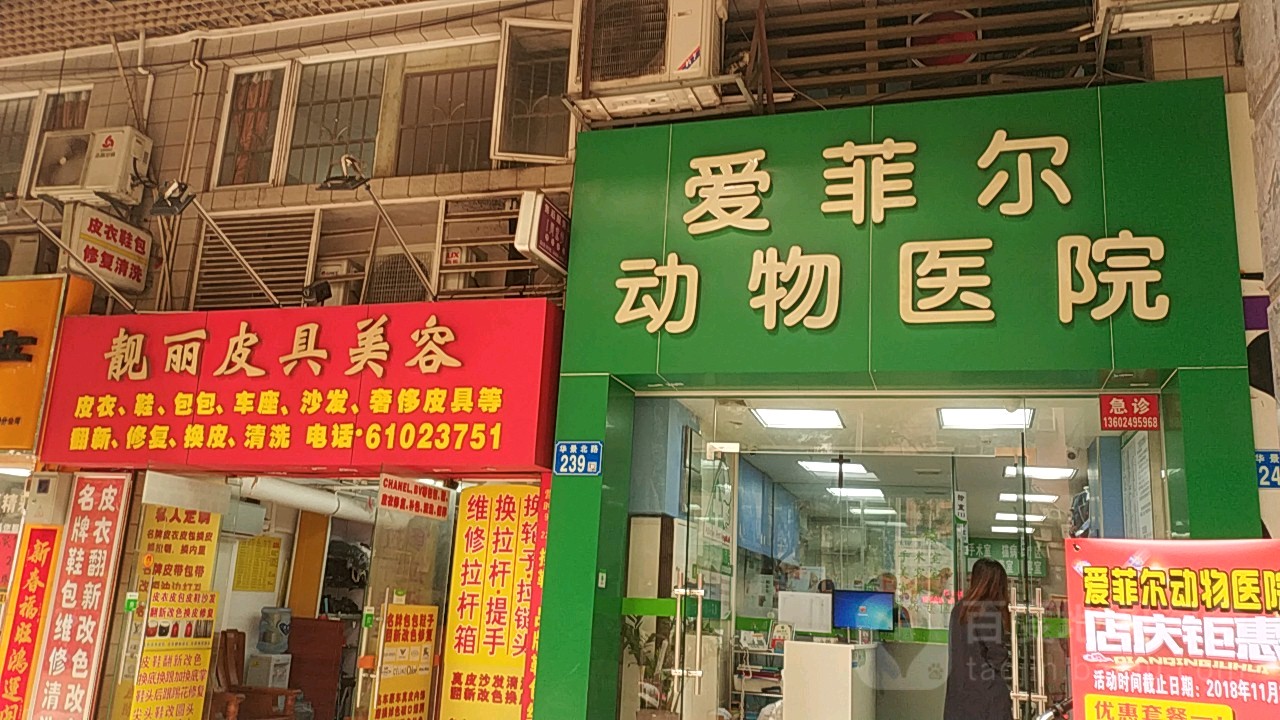 爱菲尔动物医院