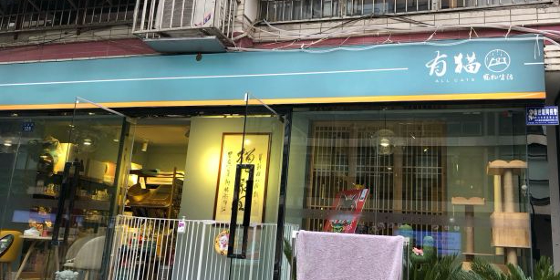 有猫(西村大院店)