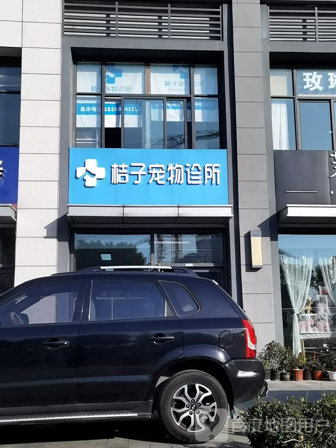 桔子宠物诊所