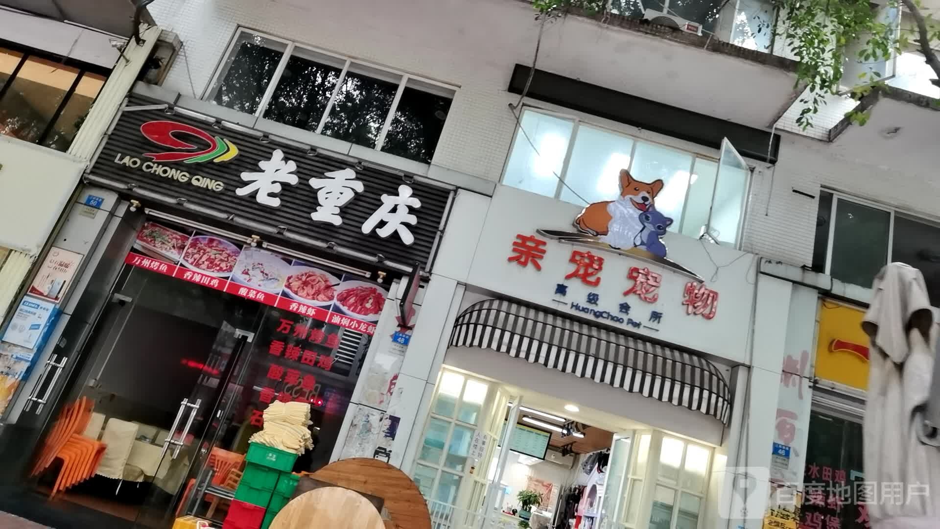 亲宠宠物