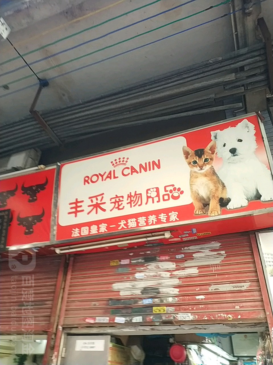 丰采宠物用品