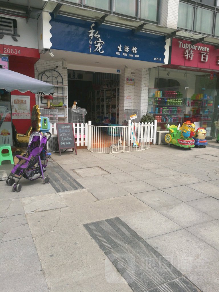 私宠精致宠物(银沙店)