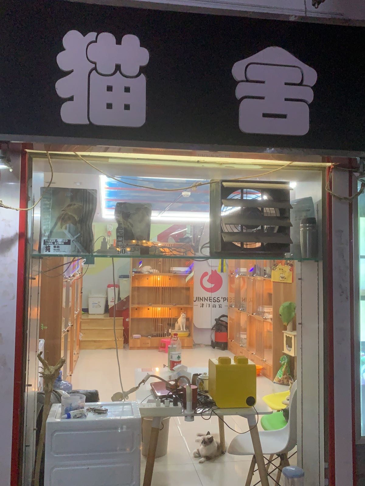 津门萌宠猫舍(总店)