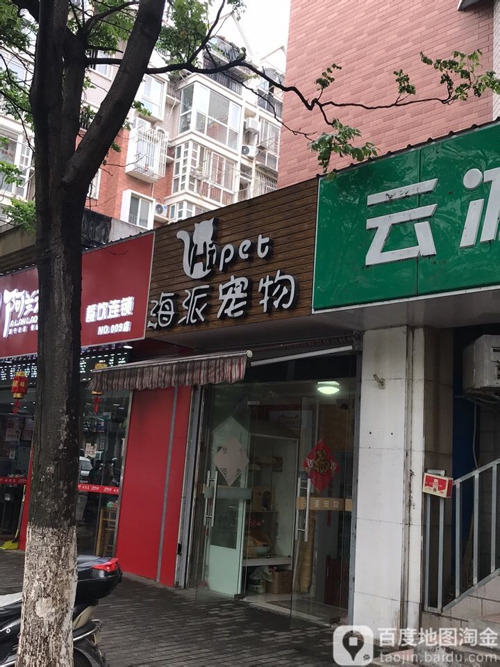 海派宠物
