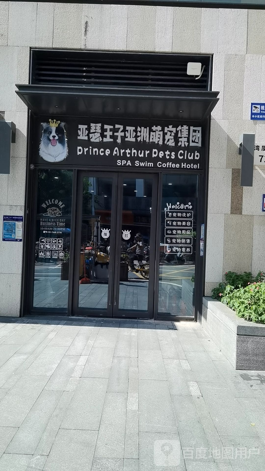 亚瑟王子亚洲宠物店