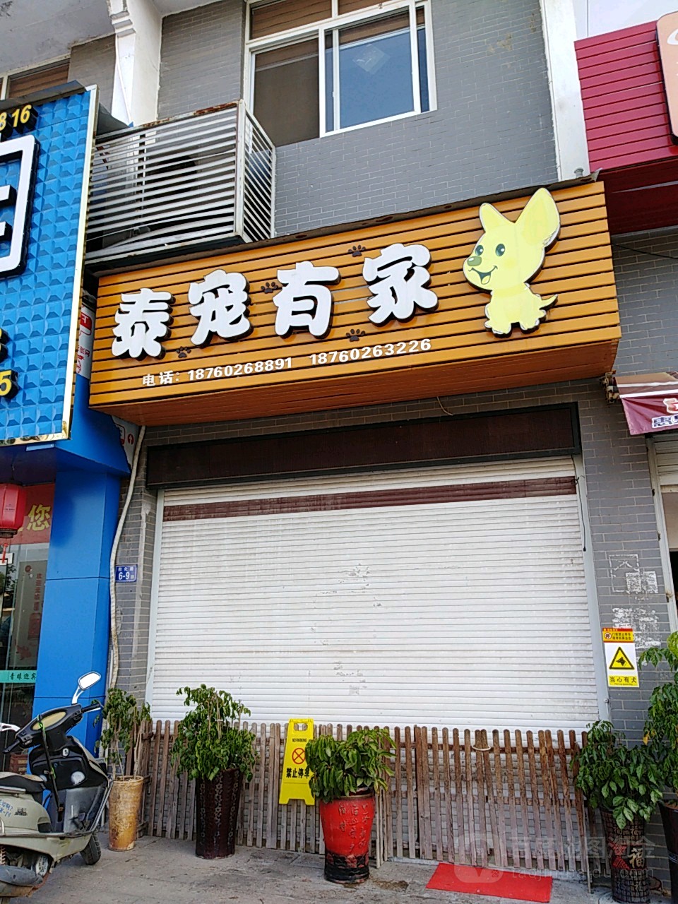 泰宠有家