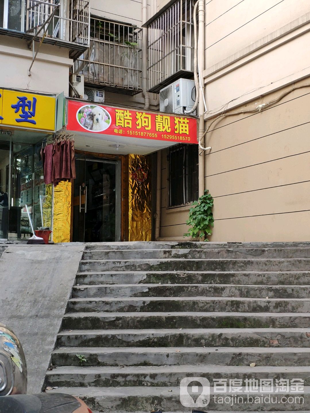 酷狗靓猫(永乐路店)