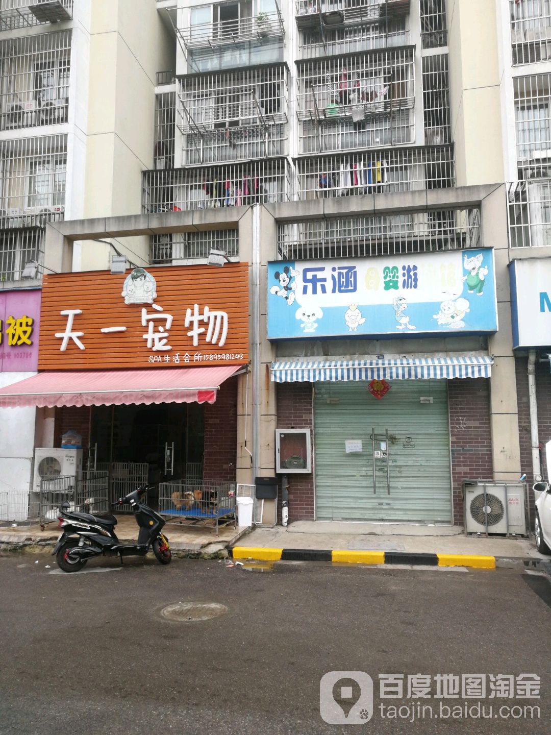 天一宠物SPA生活会所