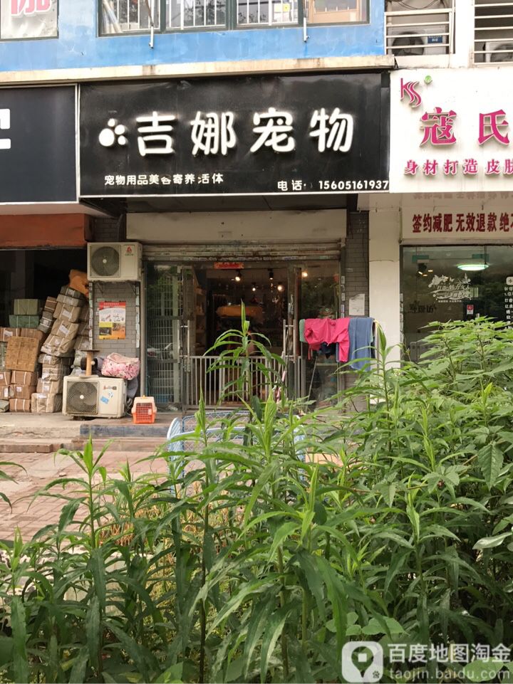 吉娜宠物(营苑北路店)