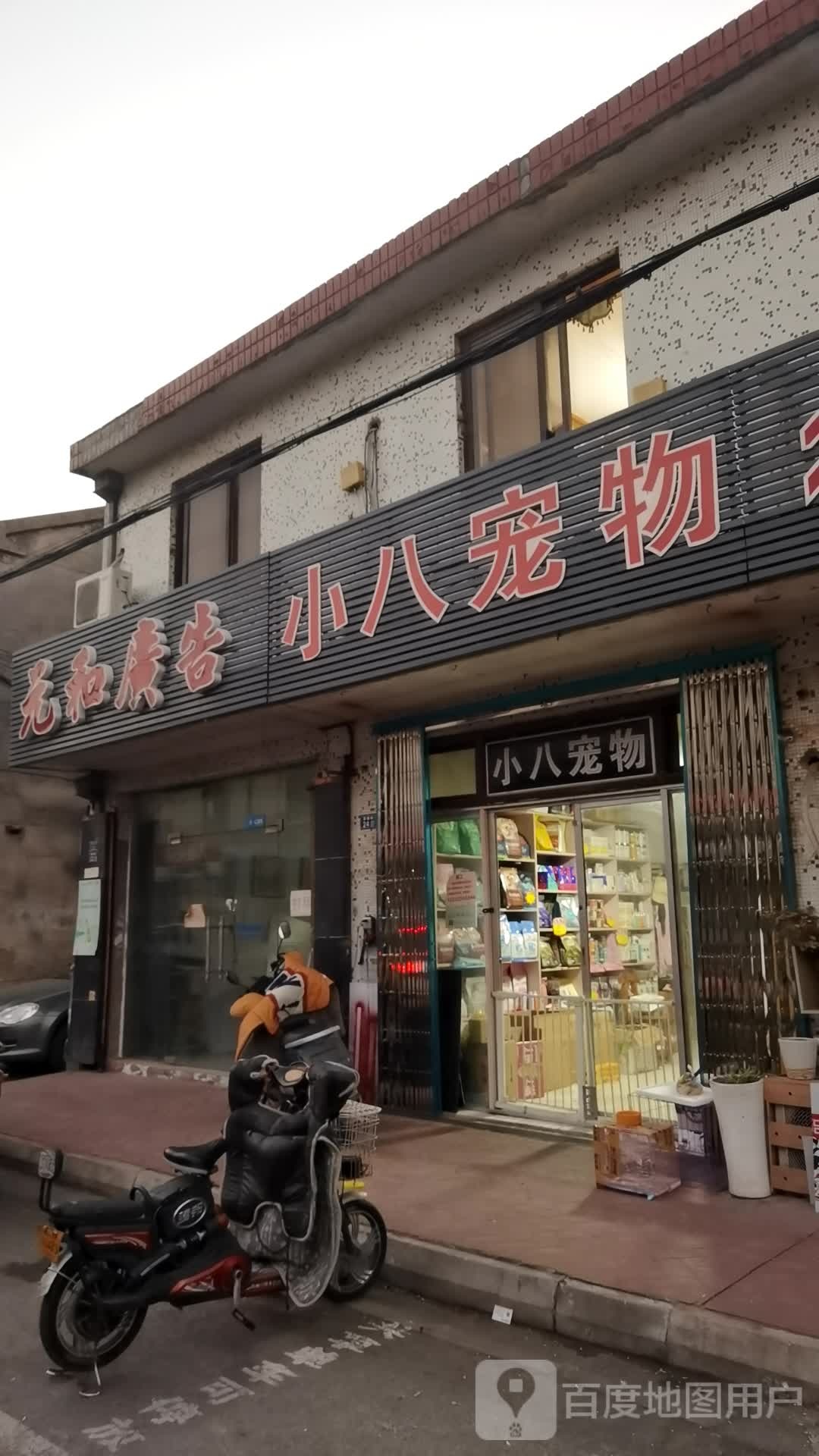小八宠物