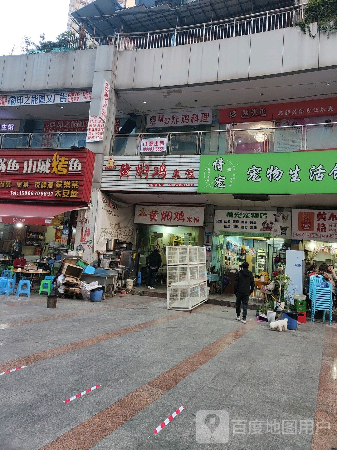 情宠