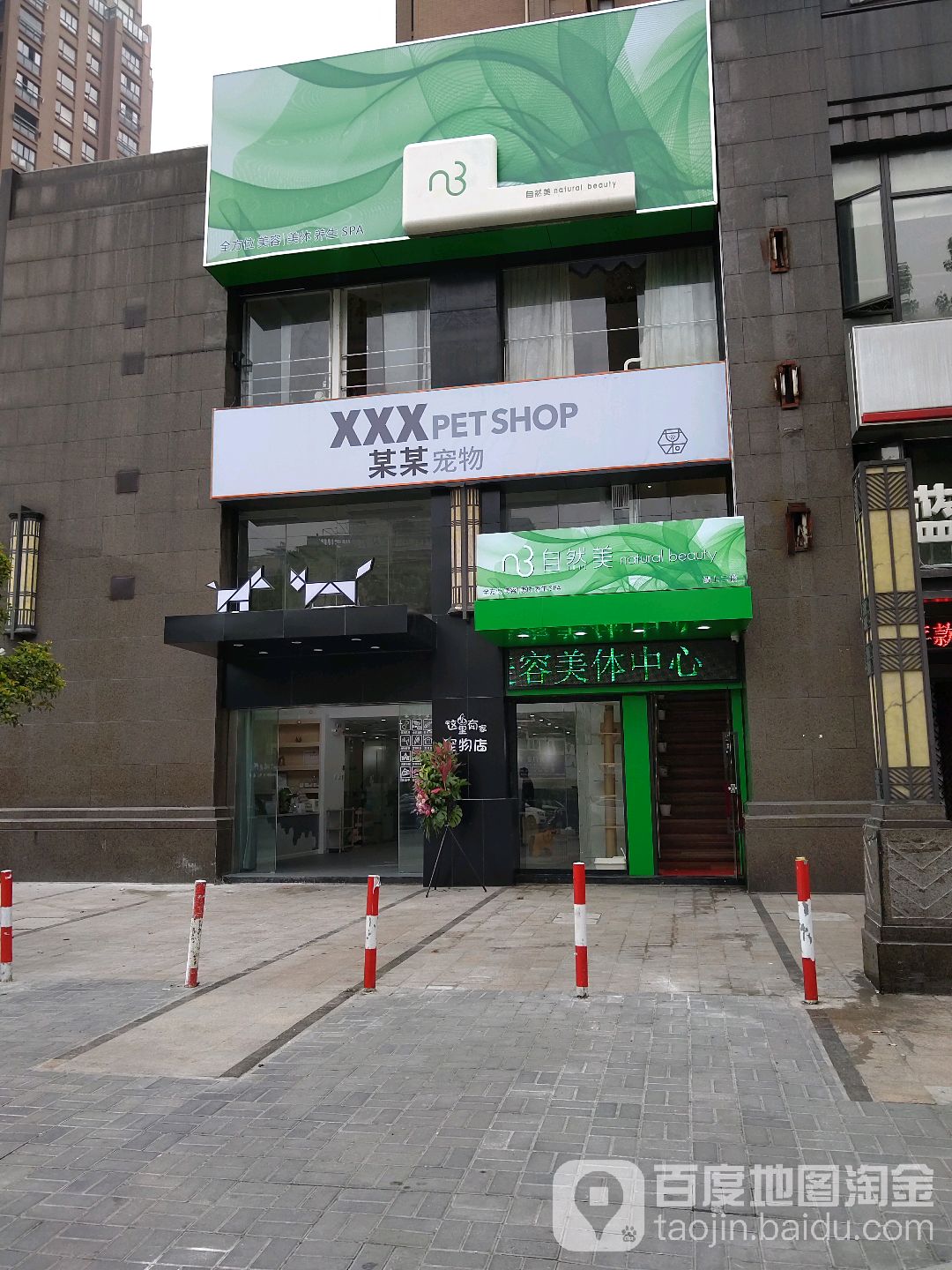 某某宠物