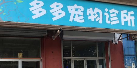 多多宠物(金钟河大街店)