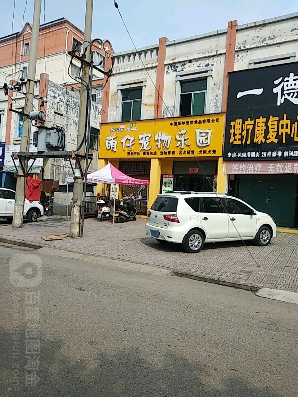萌仔宠物乐园
