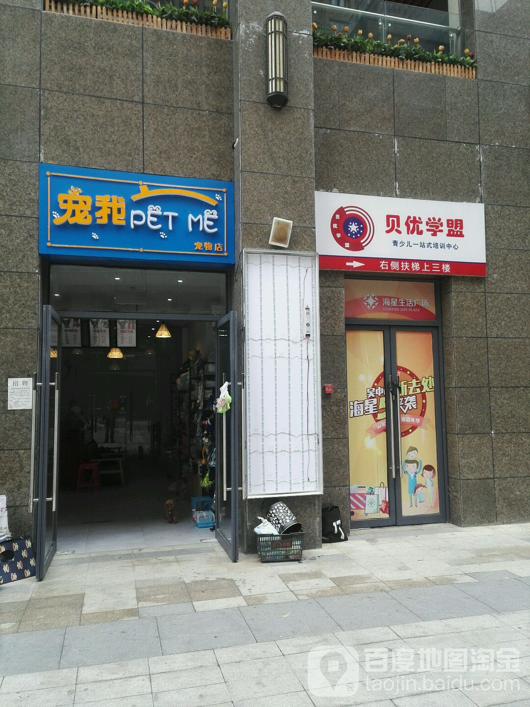 宠我宠物店
