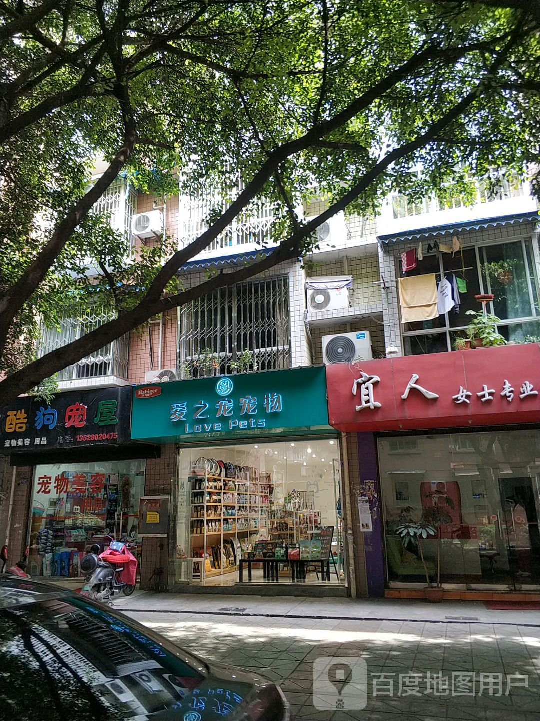 爱之宠宠物