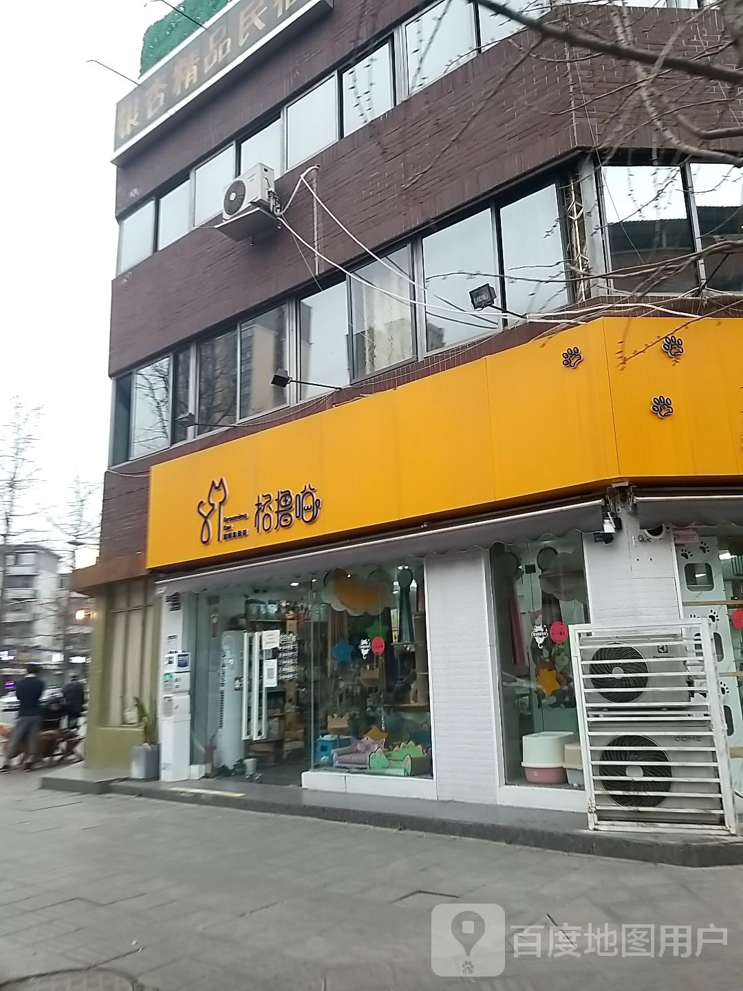 格撸喵猫咪生活馆