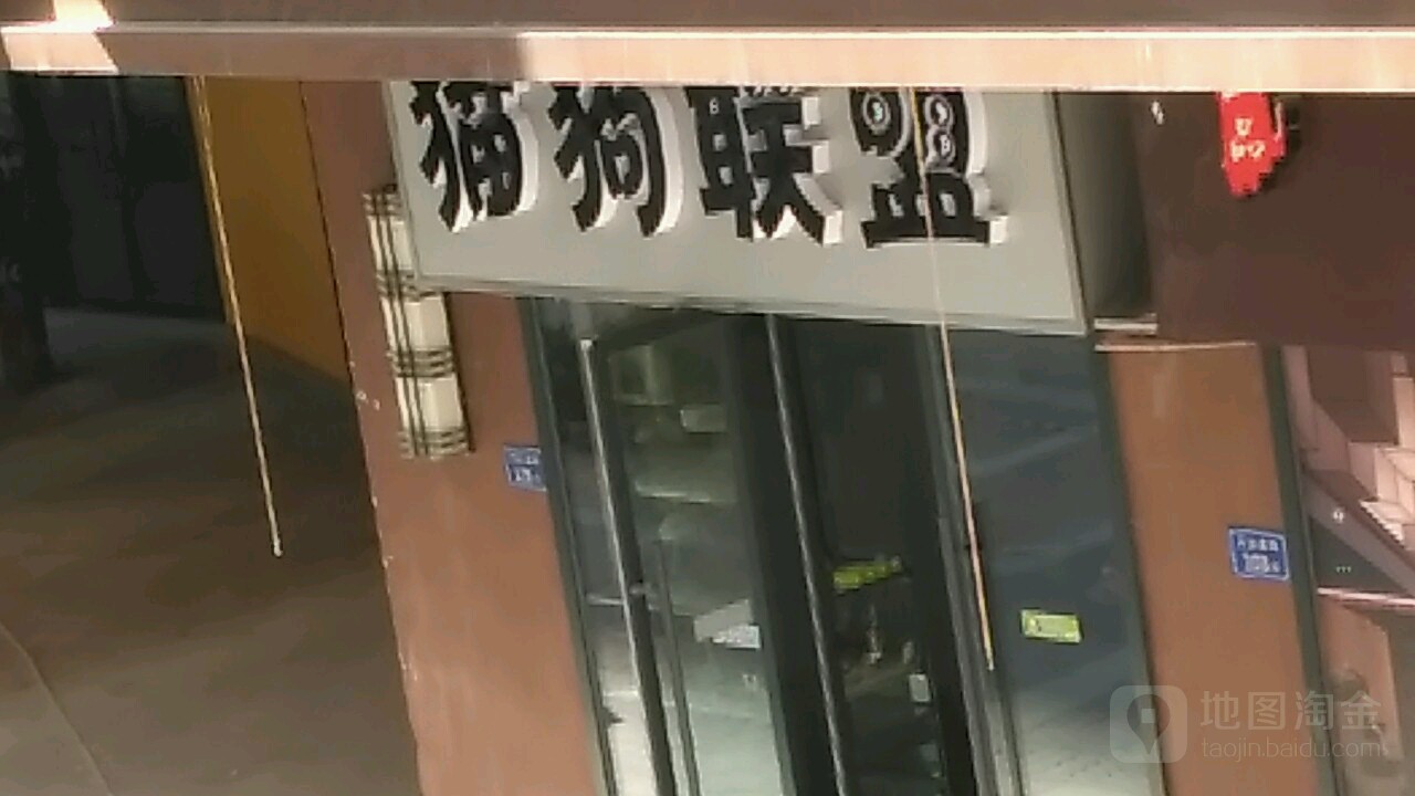 猫狗联盟