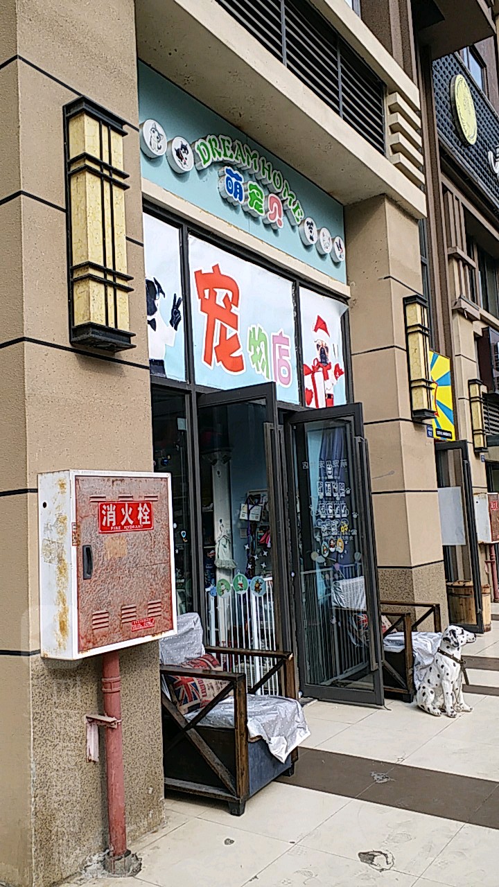 萌宠贝