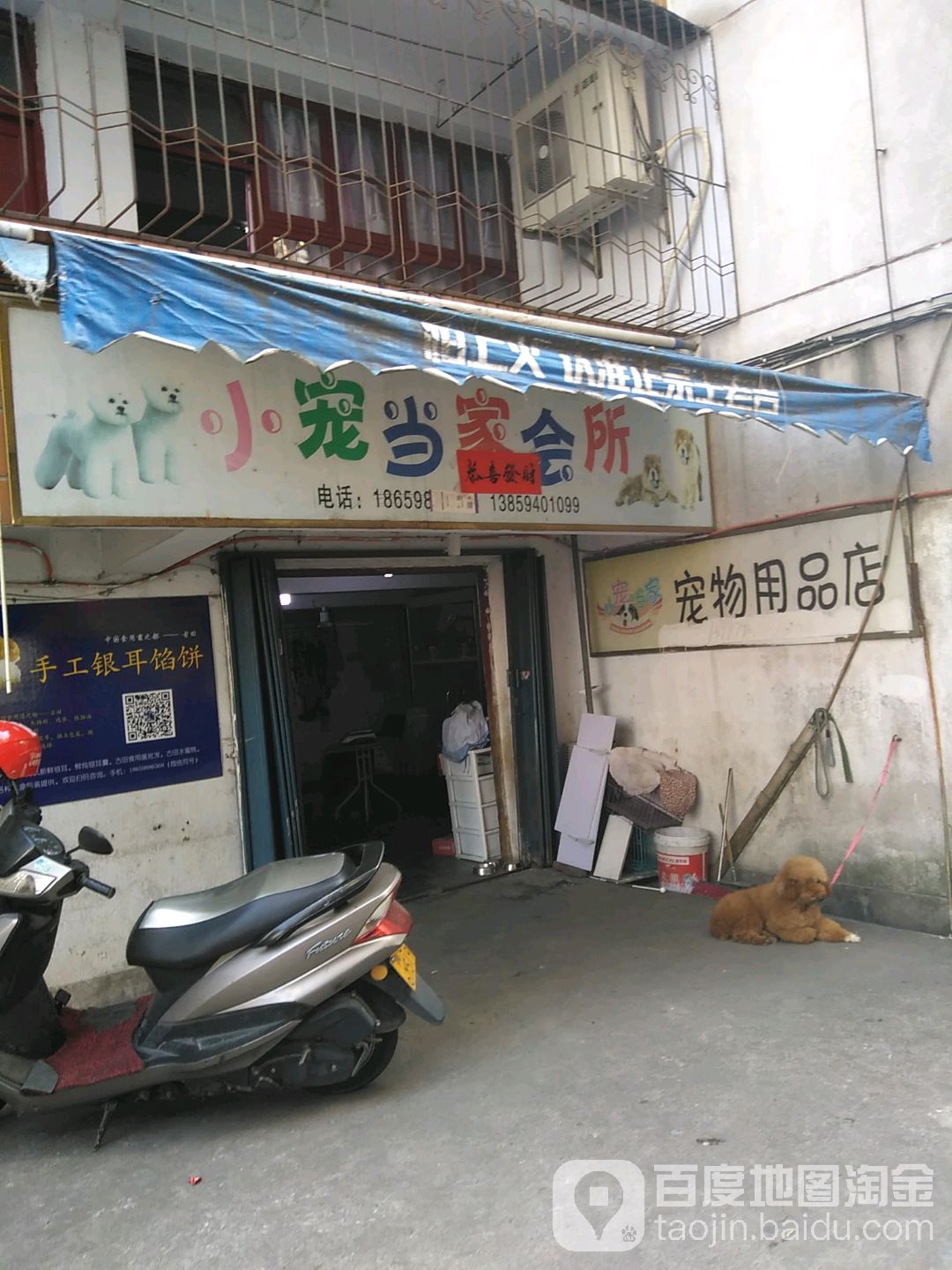 小宠当家会所