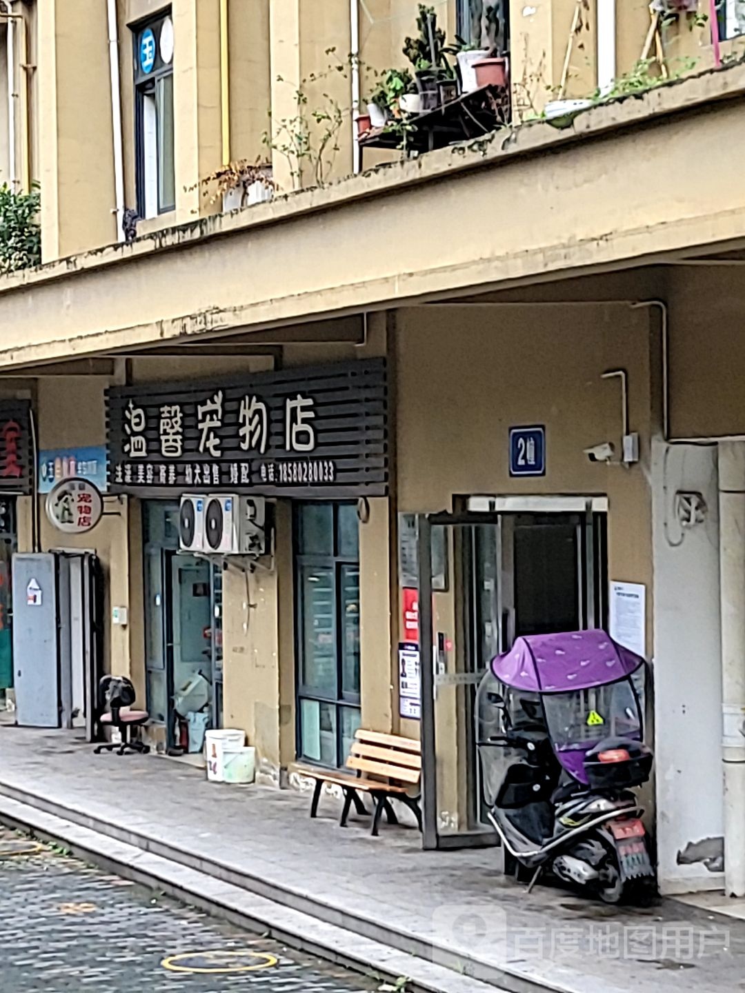 温馨宠物店