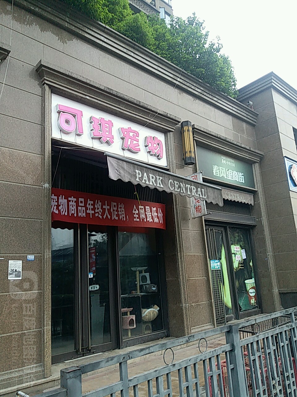可琪宠物