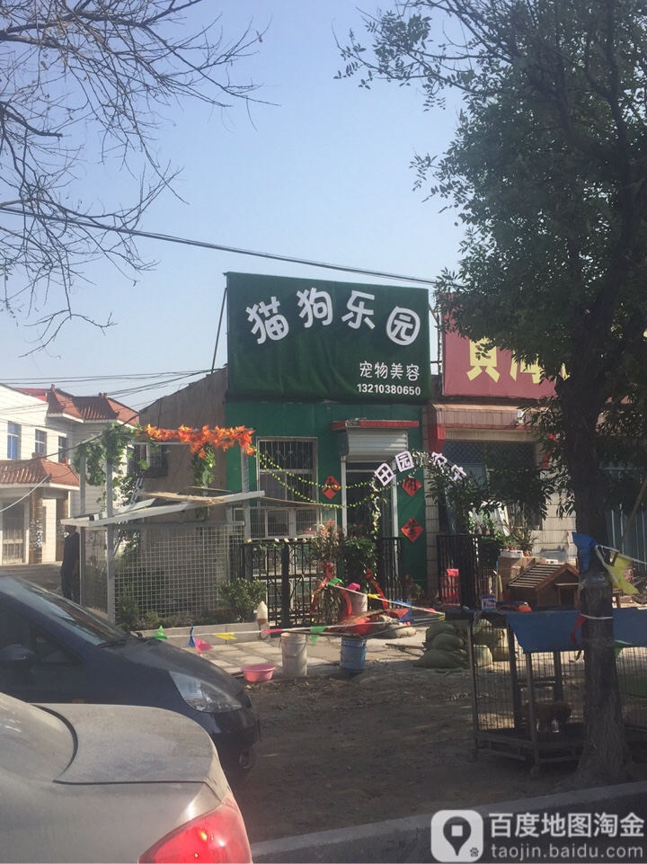 猫狗乐园