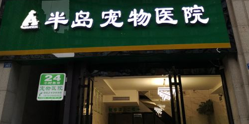 半岛宠物医院24小时急诊(成飞大道店)