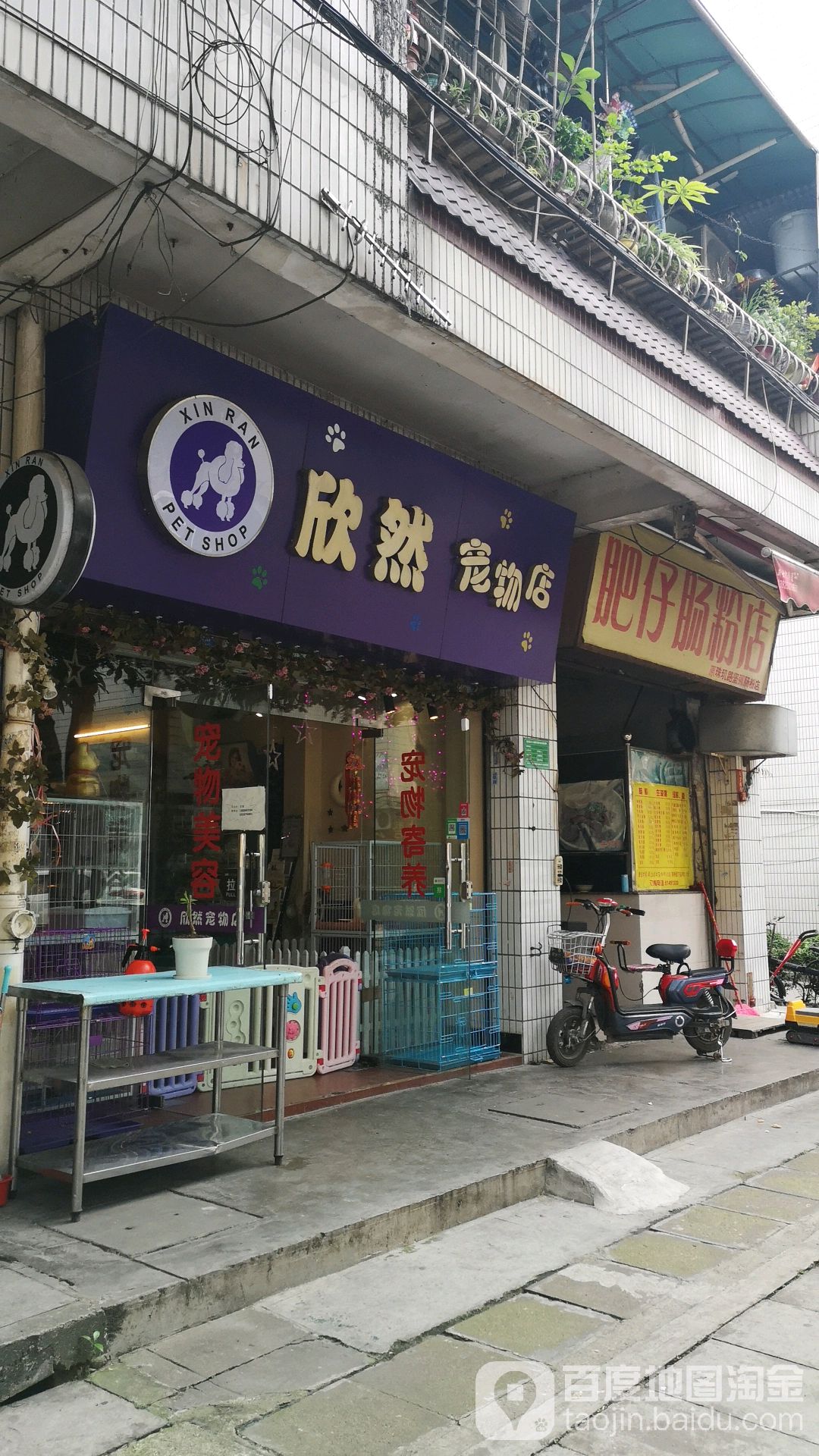 欣然宠物店
