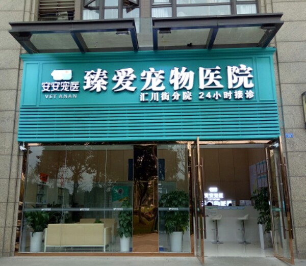 安安宠医臻爱宠物医院(汇川街分院)