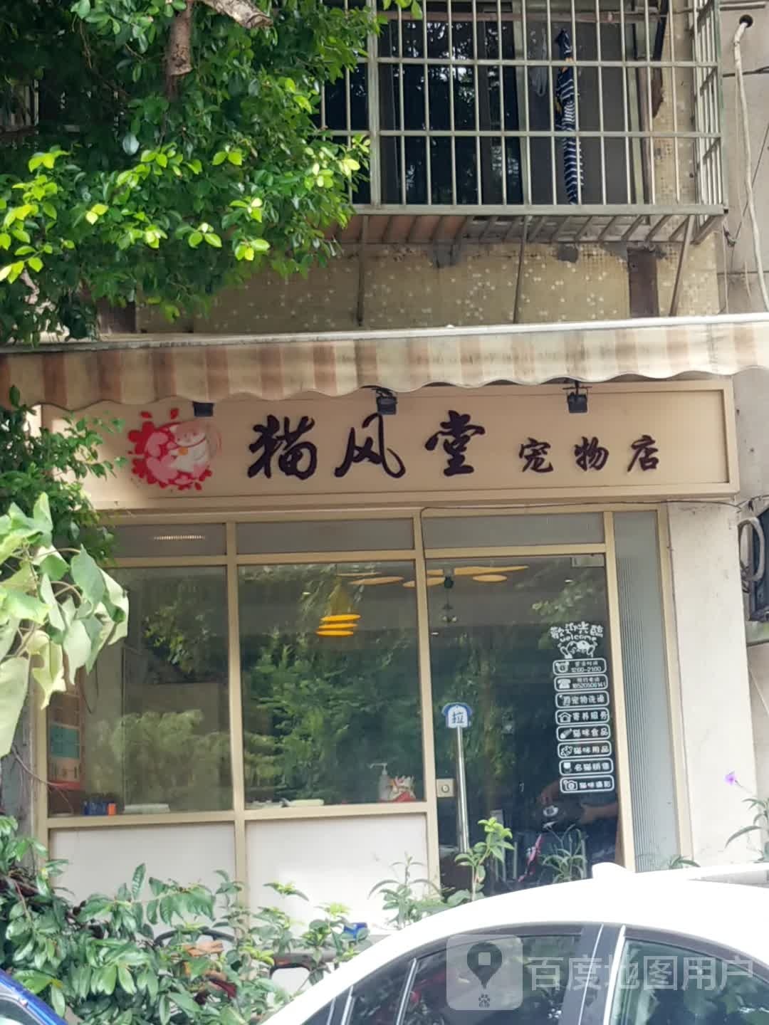 猫风堂宠物店